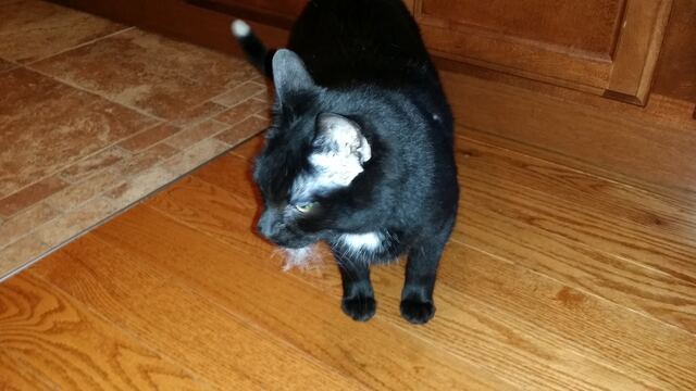 Charlie, photo 99