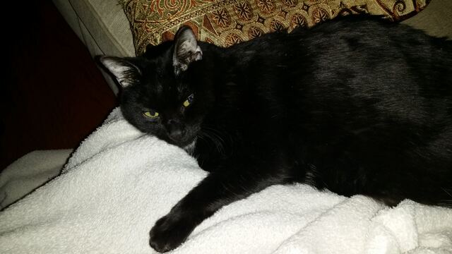 Charlie, photo 110