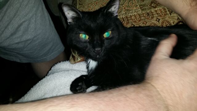 Charlie, photo 111