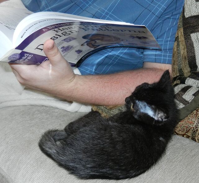 Charlie, photo 37