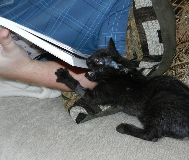 Charlie is jealous of Josh's tech book.