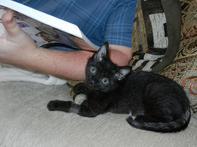 Charlie, photo 40