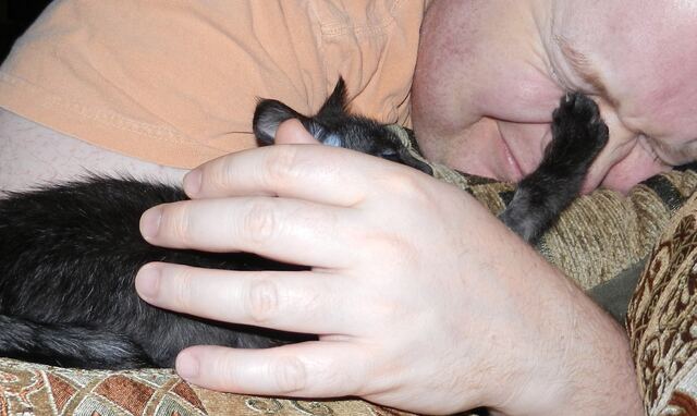 Charlie, photo 36