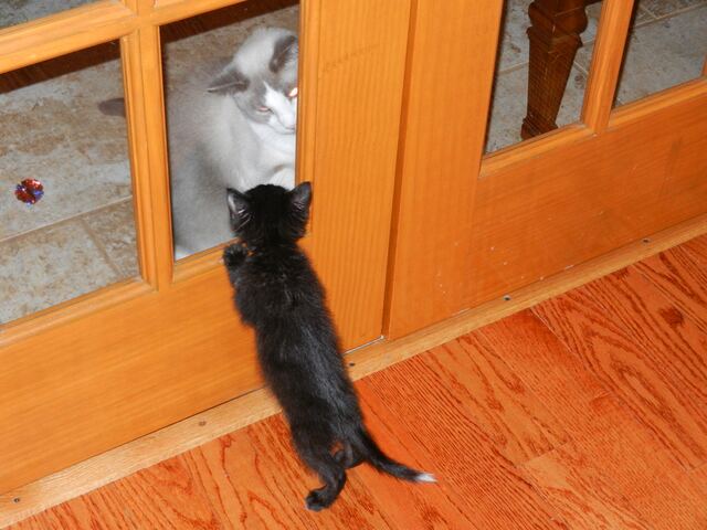 Charlie, photo 19