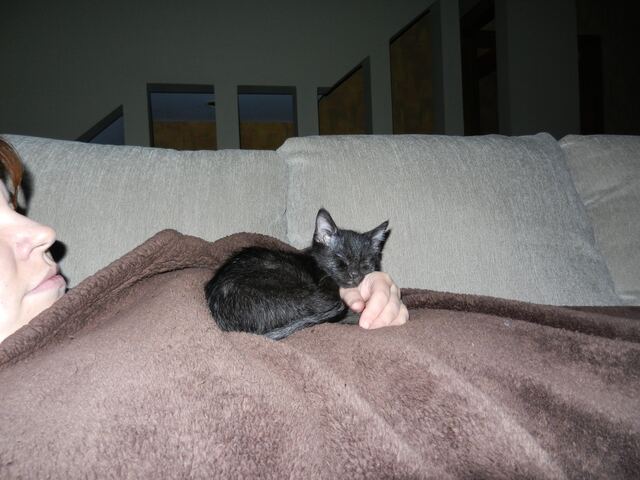 Charlie, photo 27