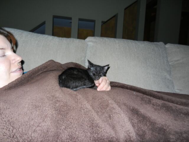 Charlie, photo 28