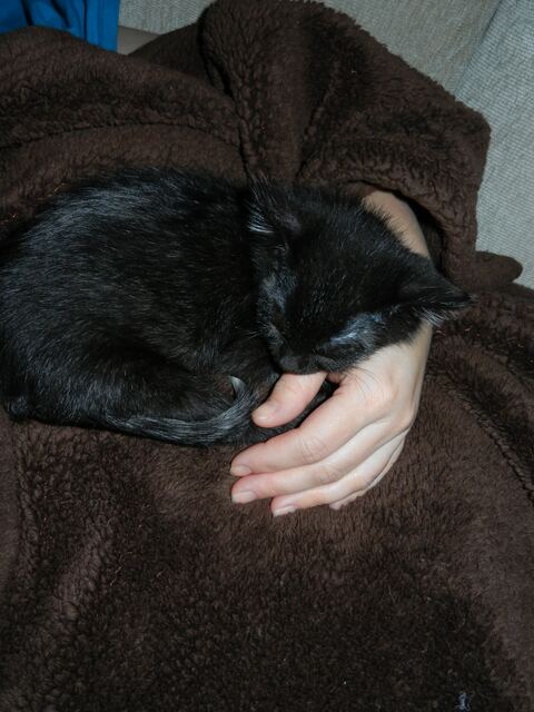 Charlie, photo 35